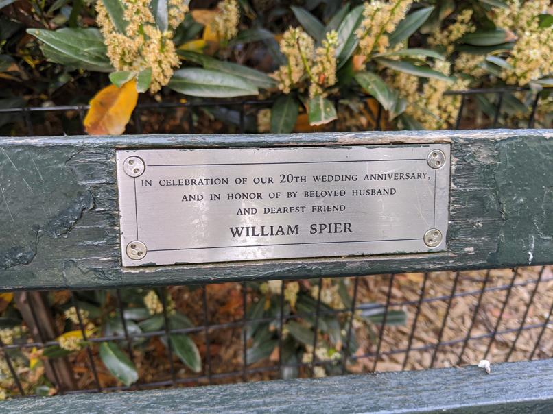 I saw this bench in Central Park