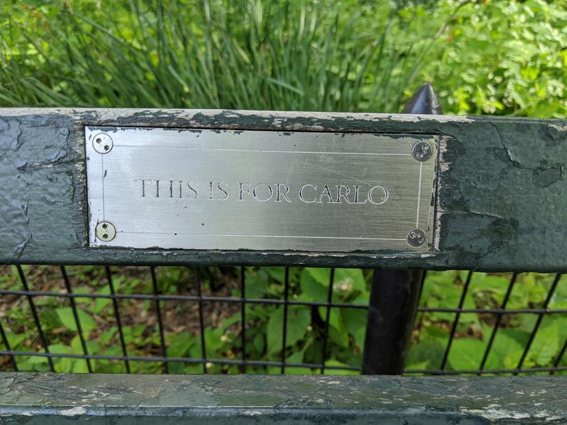 I saw this bench in Central Park