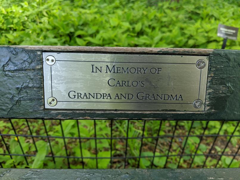 I saw this bench in Central Park