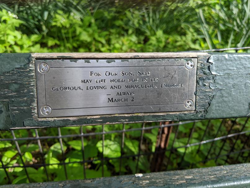 I saw this bench in Central Park