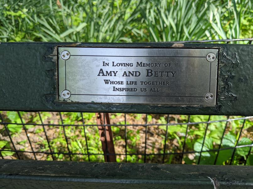 I saw this bench in Central Park