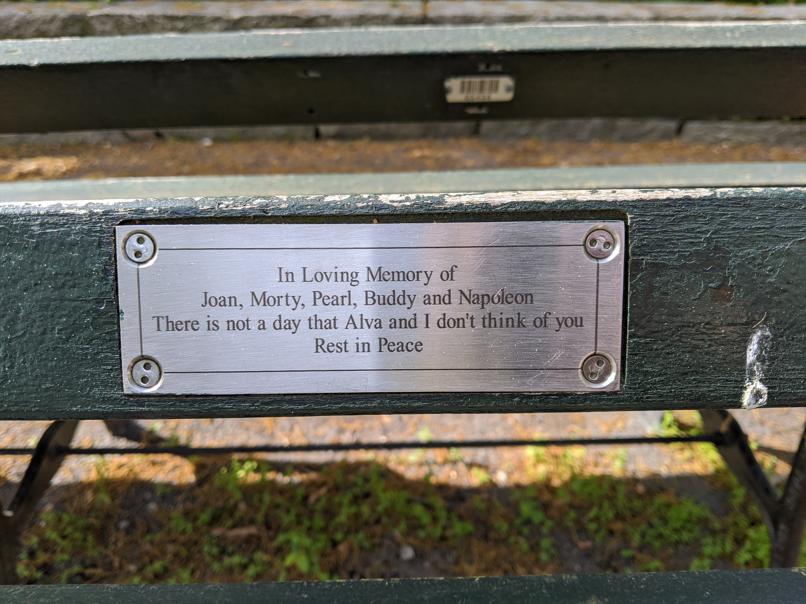 I saw this bench in Central Park