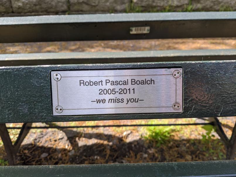 I saw this bench in Central Park