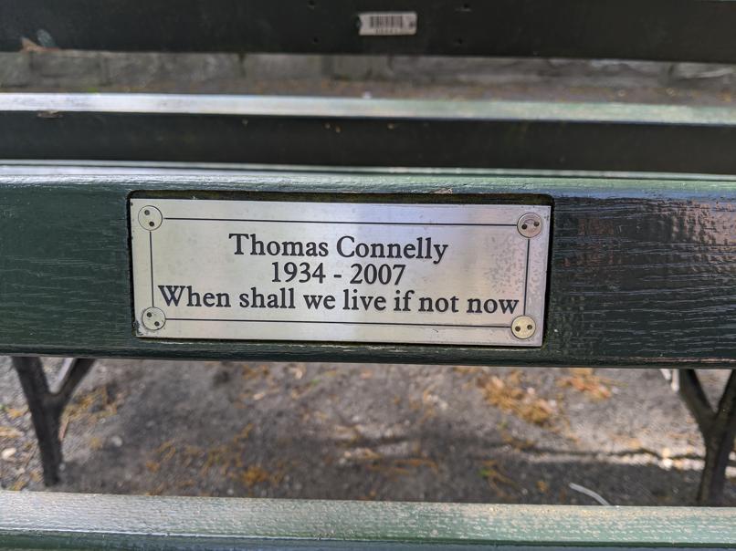 I saw this bench in Central Park