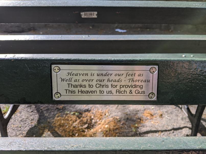 I saw this bench in Central Park