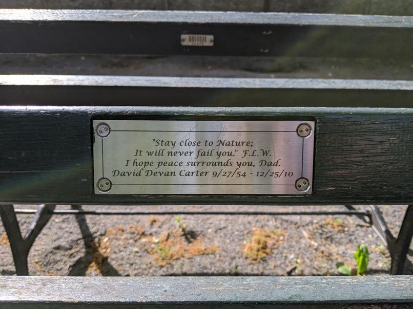 I saw this bench in Central Park