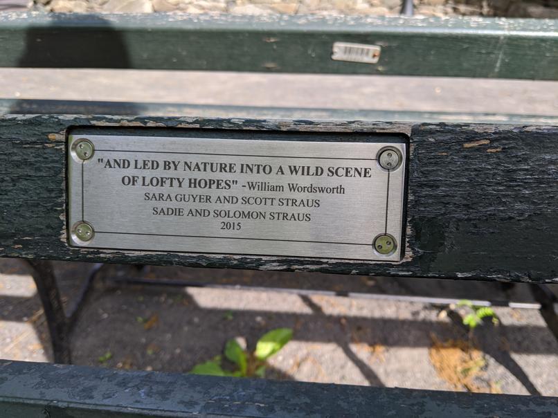 I saw this bench in Central Park