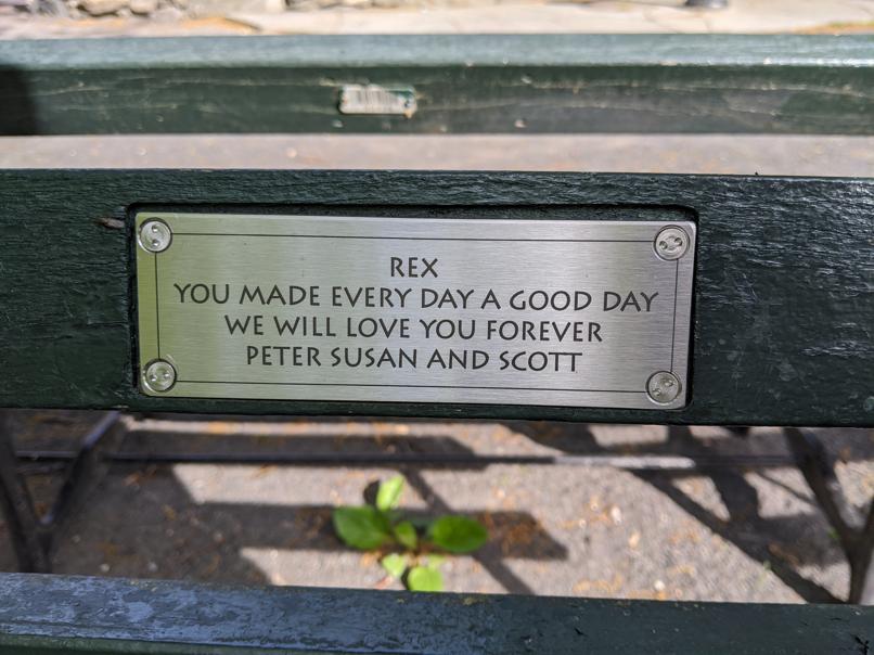 I saw this bench in Central Park