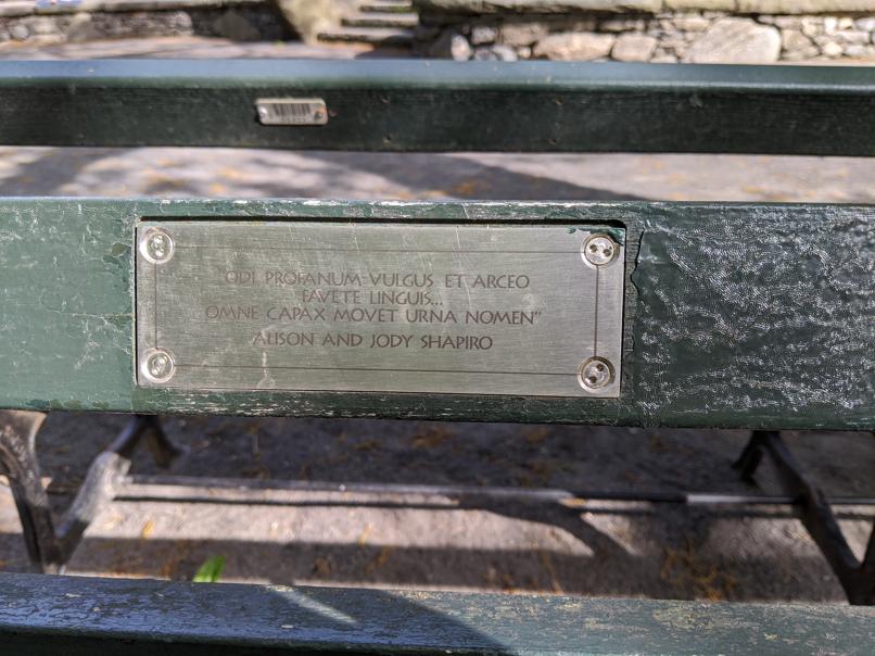 I saw this bench in Central Park