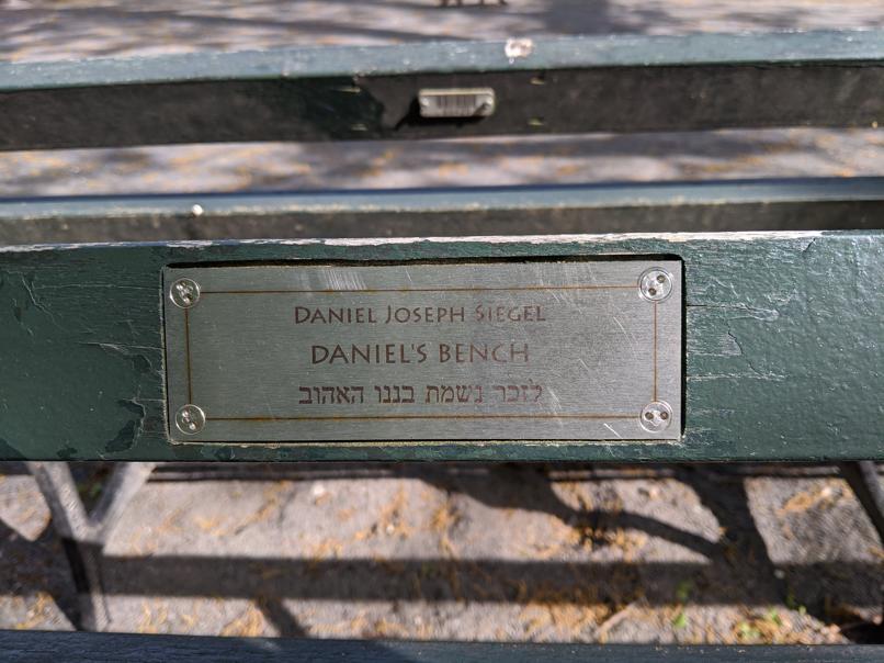 I saw this bench in Central Park