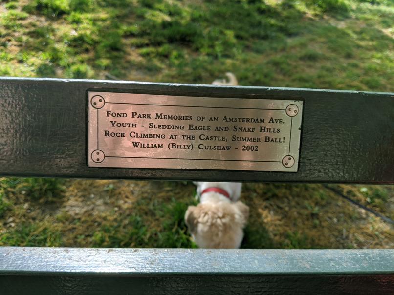 I saw this bench in Central Park