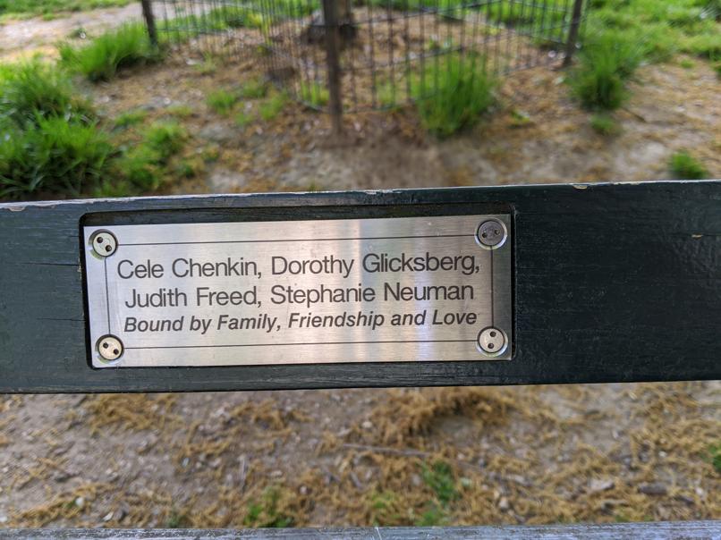 I saw this bench in Central Park