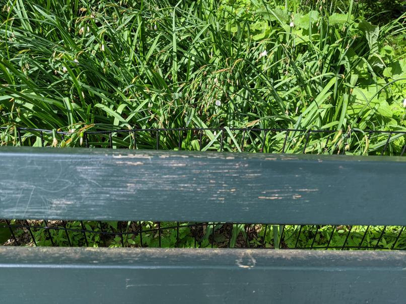 I saw this bench in Central Park