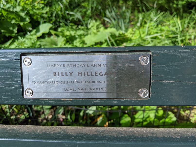 I saw this bench in Central Park