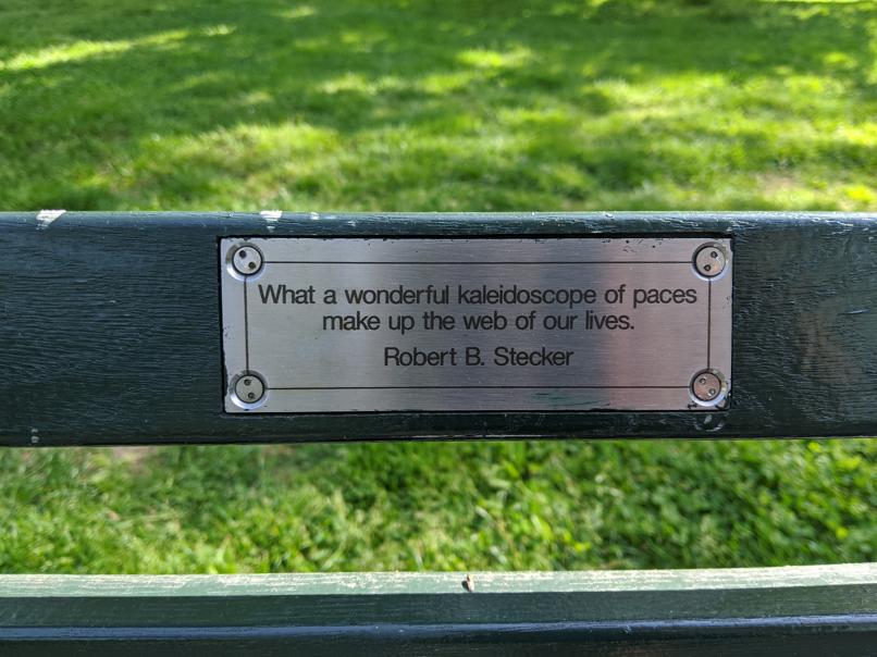 I saw this bench in Central Park