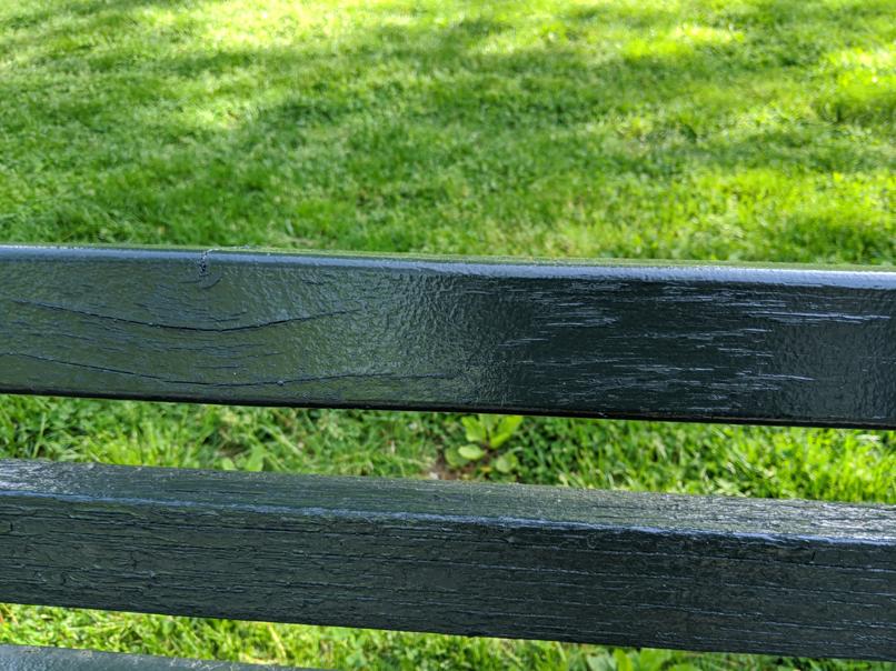 I saw this bench in Central Park