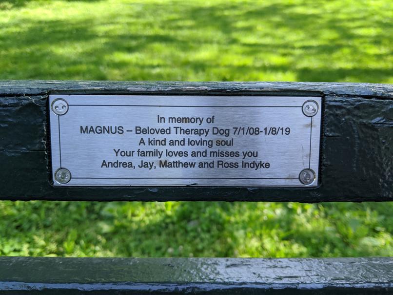 I saw this bench in Central Park