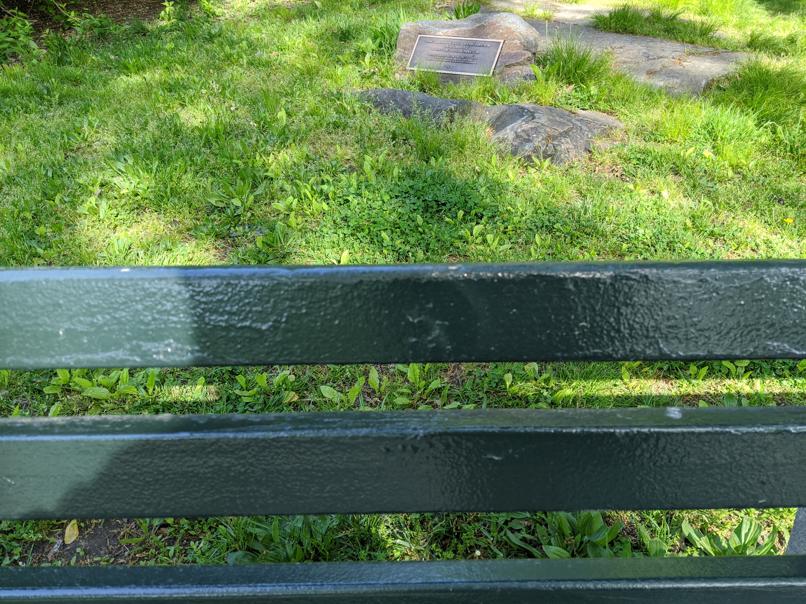 I saw this bench in Central Park