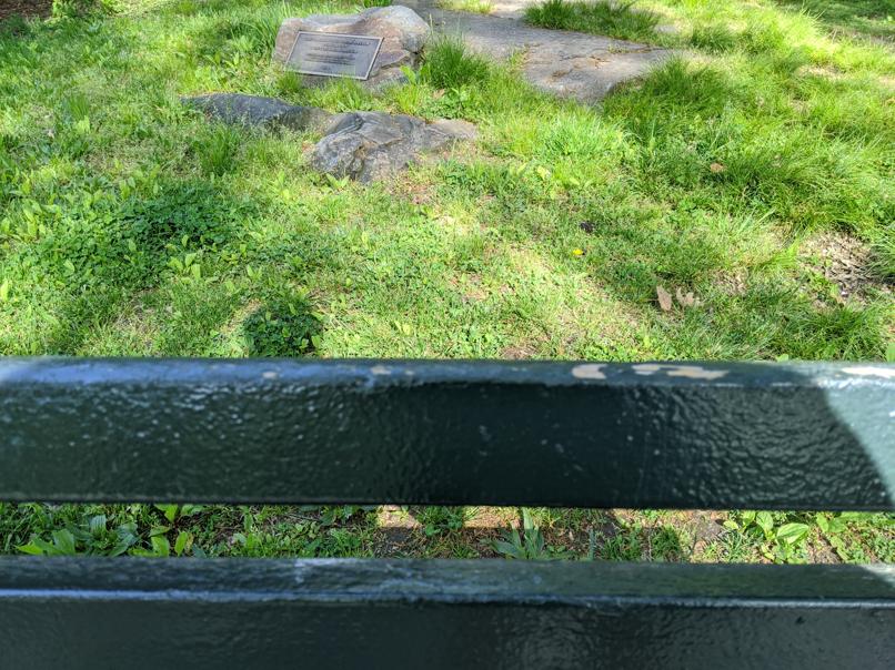 I saw this bench in Central Park