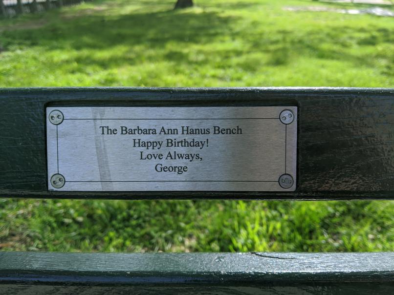 I saw this bench in Central Park