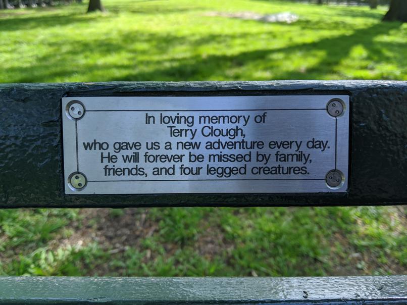 I saw this bench in Central Park