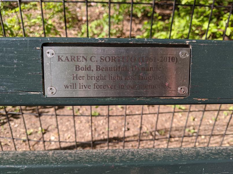 I saw this bench in Central Park