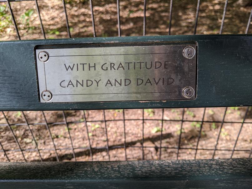 I saw this bench in Central Park