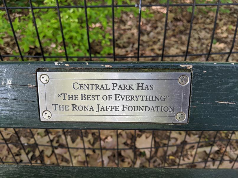 I saw this bench in Central Park