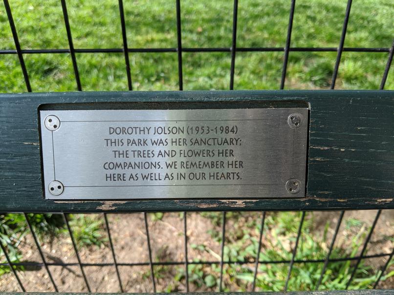 I saw this bench in Central Park