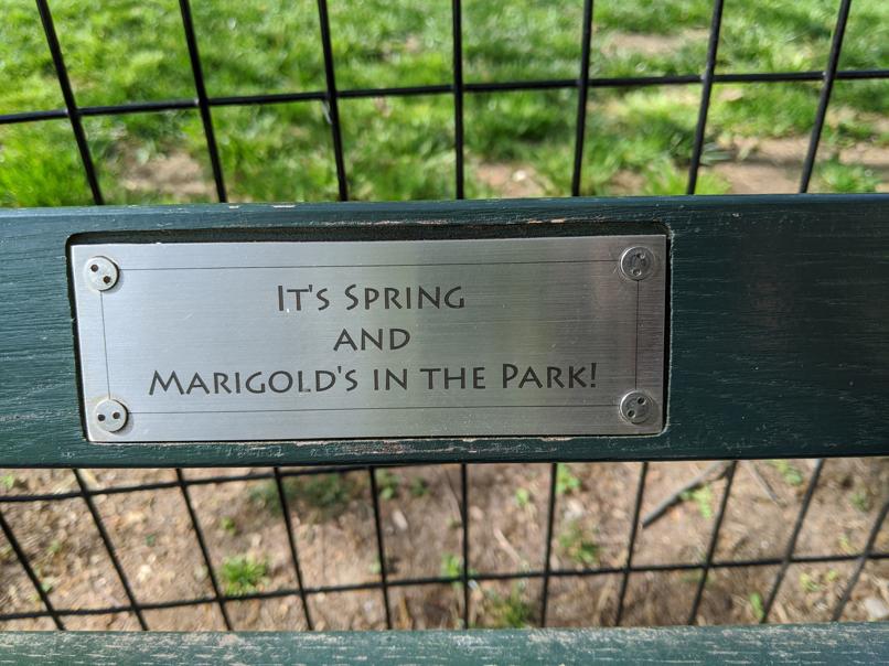 I saw this bench in Central Park