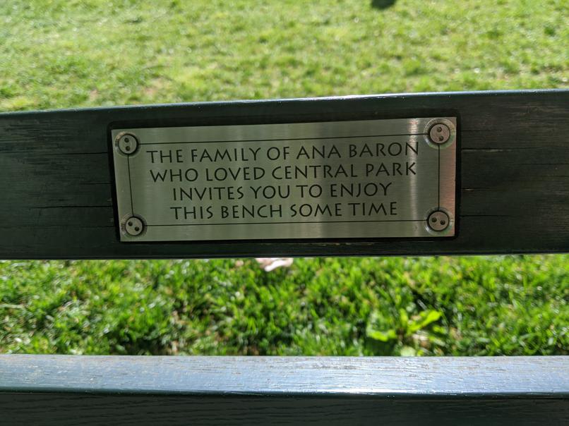 I saw this bench in Central Park