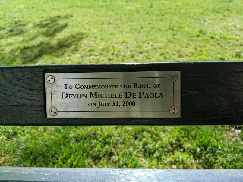 I saw this bench in Central Park