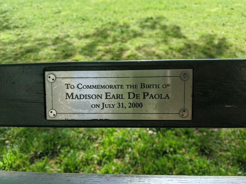 I saw this bench in Central Park