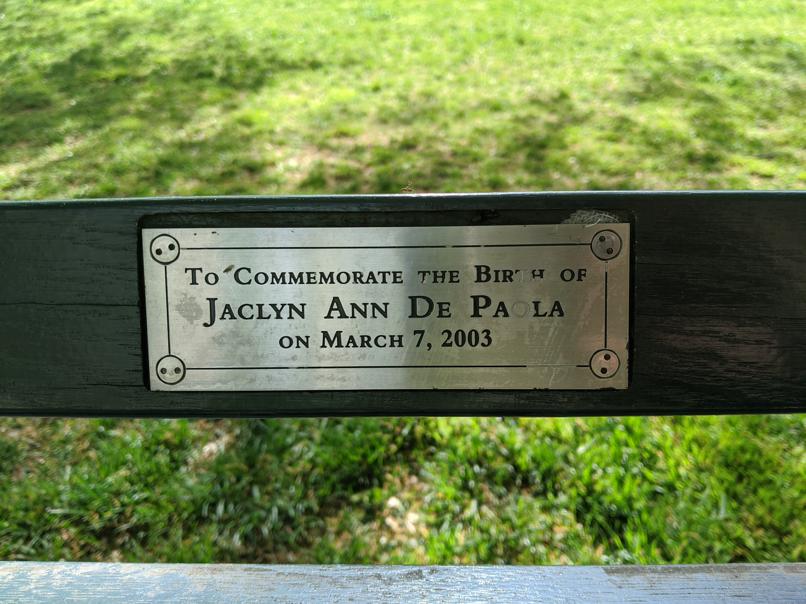 I saw this bench in Central Park