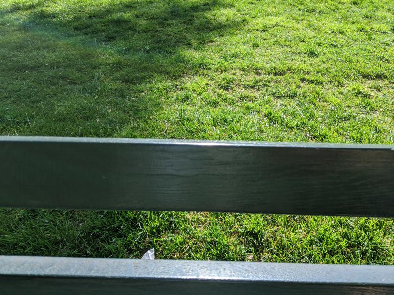 I saw this bench in Central Park