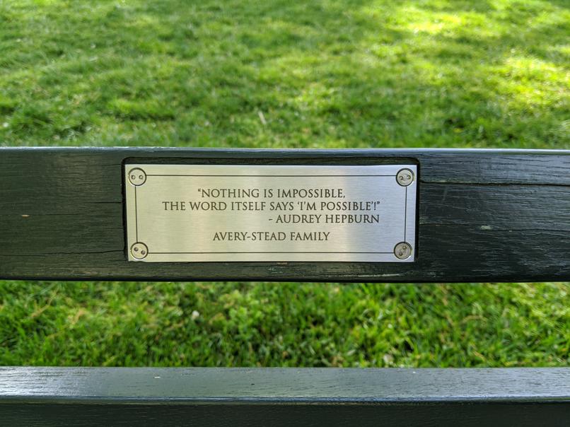 I saw this bench in Central Park