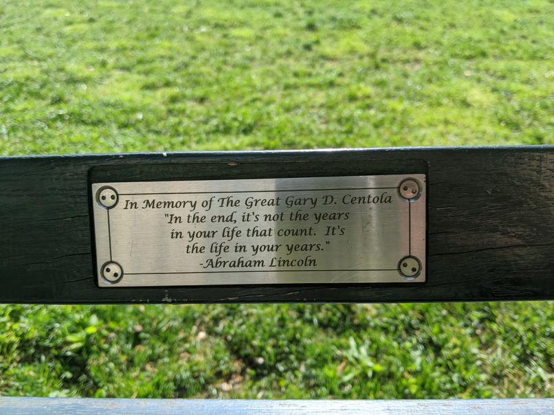 I saw this bench in Central Park