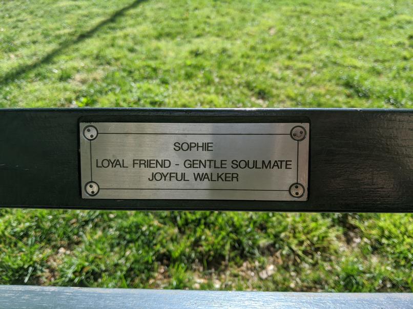 I saw this bench in Central Park