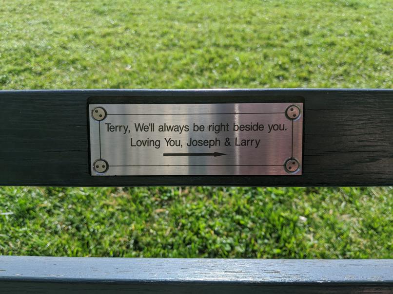 I saw this bench in Central Park