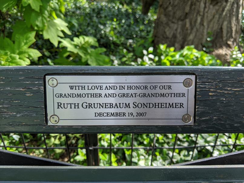 I saw this bench in Central Park