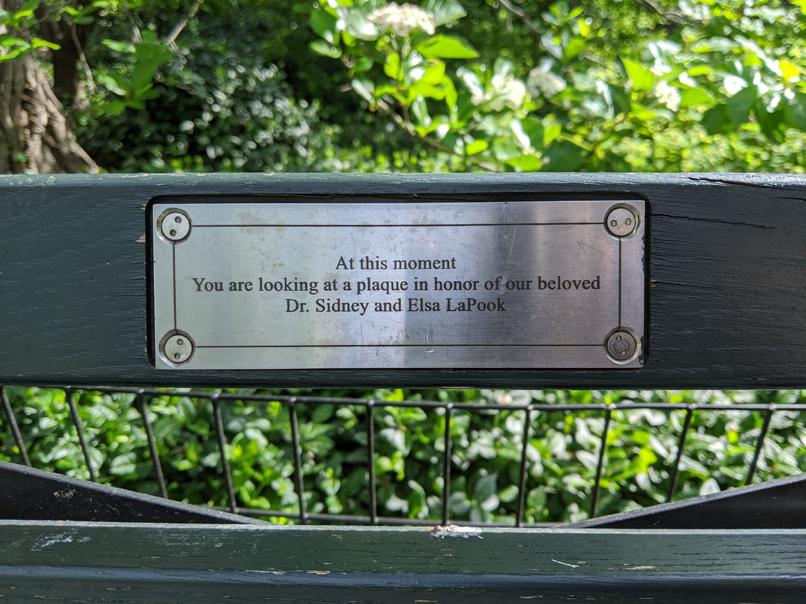 I saw this bench in Central Park