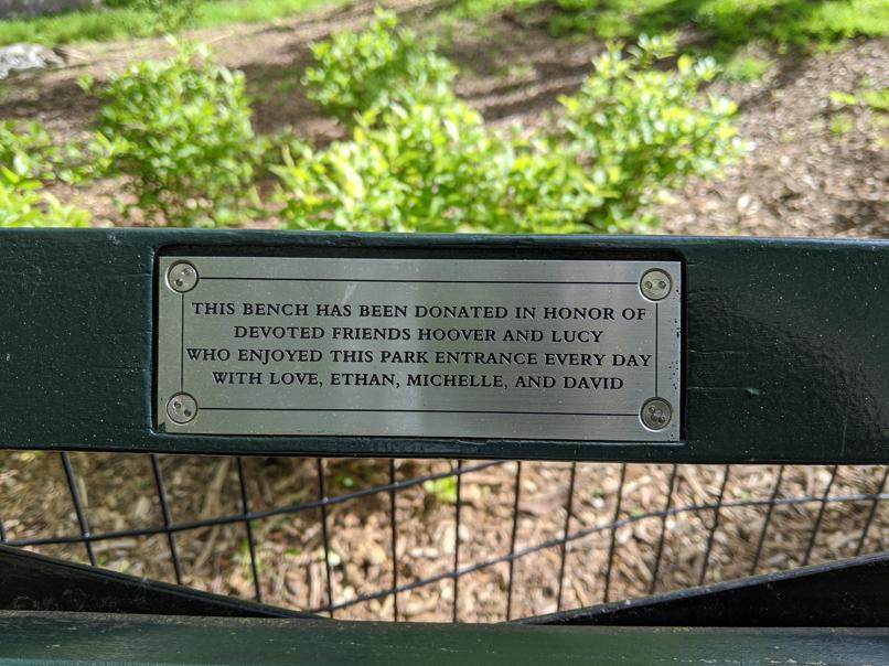 I saw this bench in Central Park