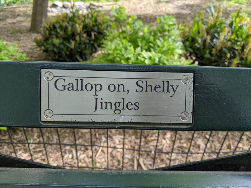 I saw this bench in Central Park