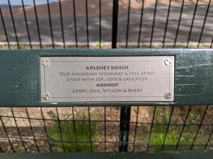 I saw this bench in Central Park