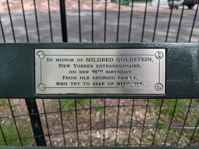 I saw this bench in Central Park