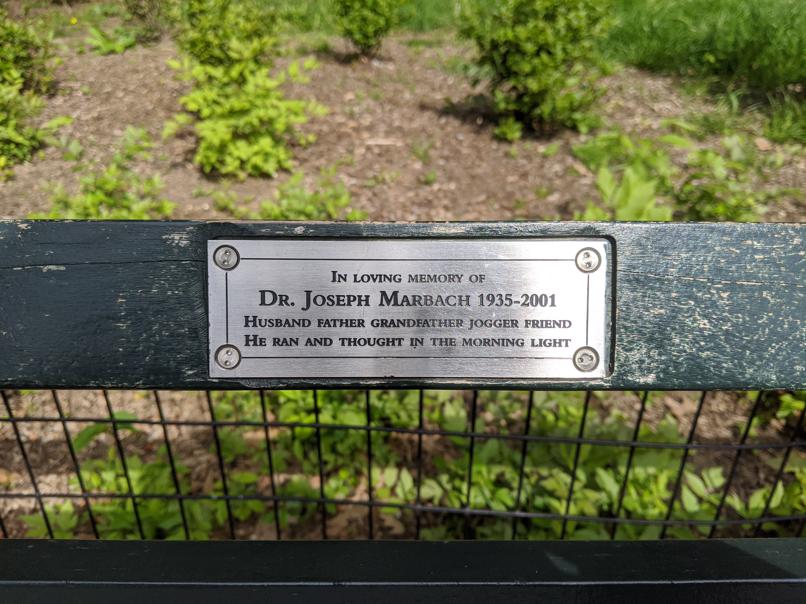 I saw this bench in Central Park