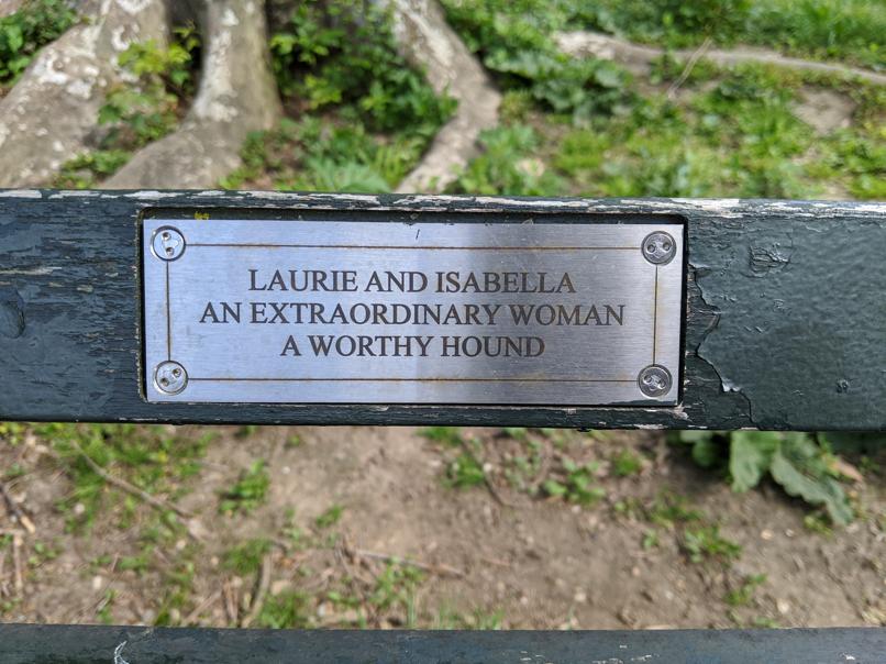 I saw this bench in Central Park