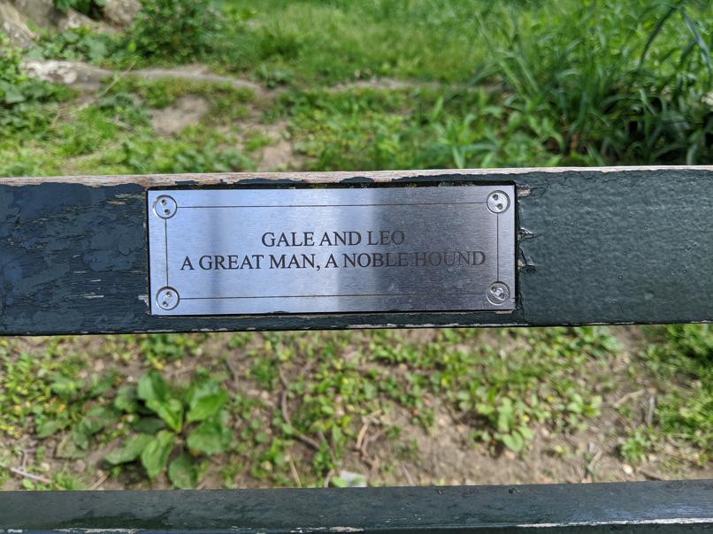 I saw this bench in Central Park