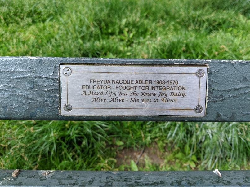 I saw this bench in Central Park