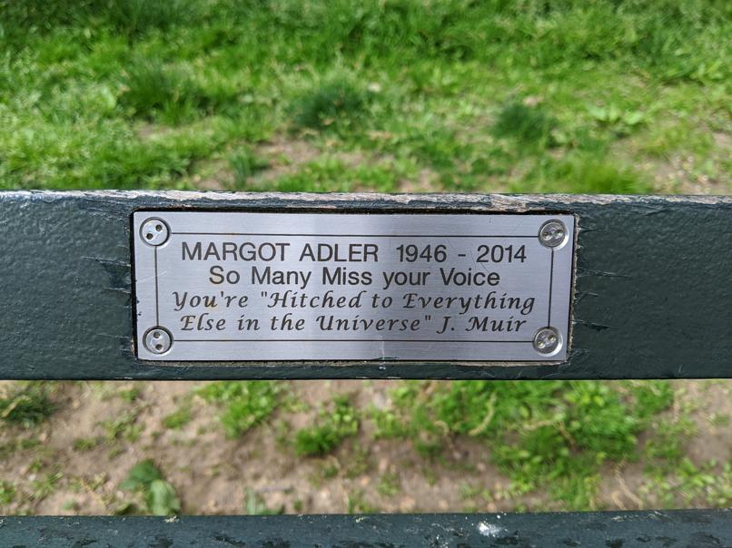 I saw this bench in Central Park